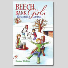 Beech Bank Girls series of books for girls