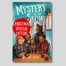 Mystery in the Snow Christian book for kids