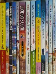 Bundle of Dernier Publishing paperbacks