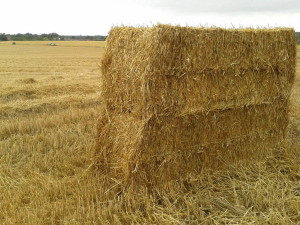 straw bales