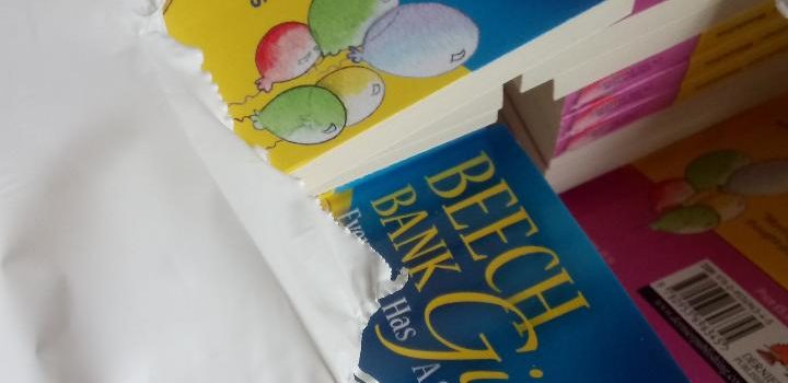 Beech Bank Girls Books from Dernier Publishing