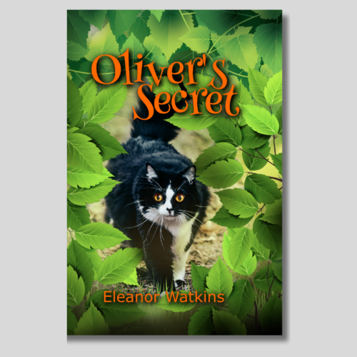 Oliver's Secret Christian book for kids