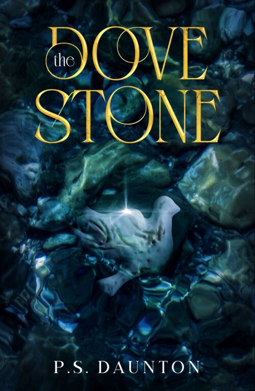 The Dove Stone Christian book for kids